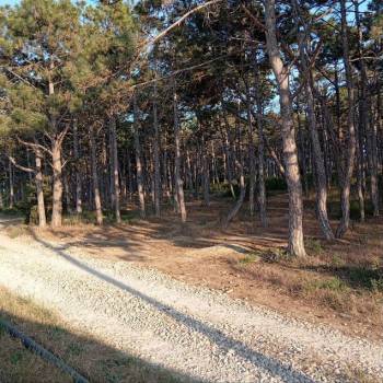 Продается Дом, 90 м²