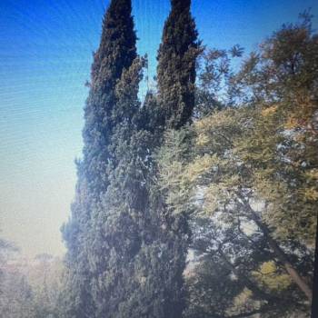 Продается 2-х комнатная квартира, 46 м²