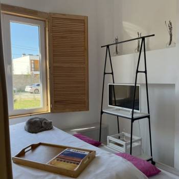 Сдается 1-комнатная квартира, 55 м²