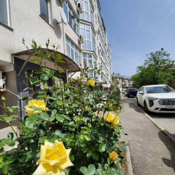 Продается Нежилое помещение, 284 м²