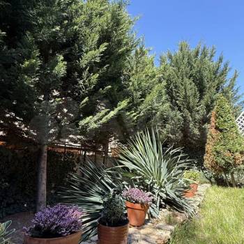 Сдается Дом, 150 м²