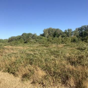 Продается Участок, 6980 м²