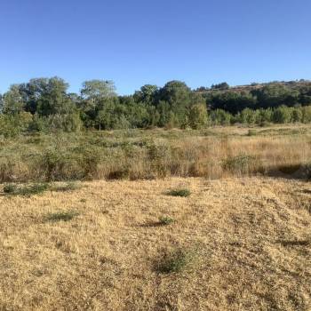 Продается Участок, 6980 м²