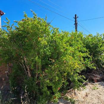 Продается Дом, 93 м²