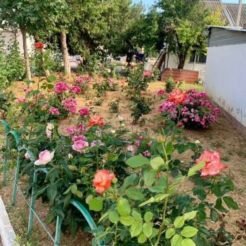 Сдается Дом, 20 м²