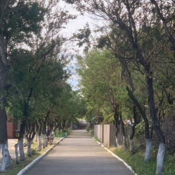 Сдается Дом, 20 м²