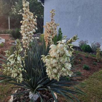 Продается Дом, 49 м²