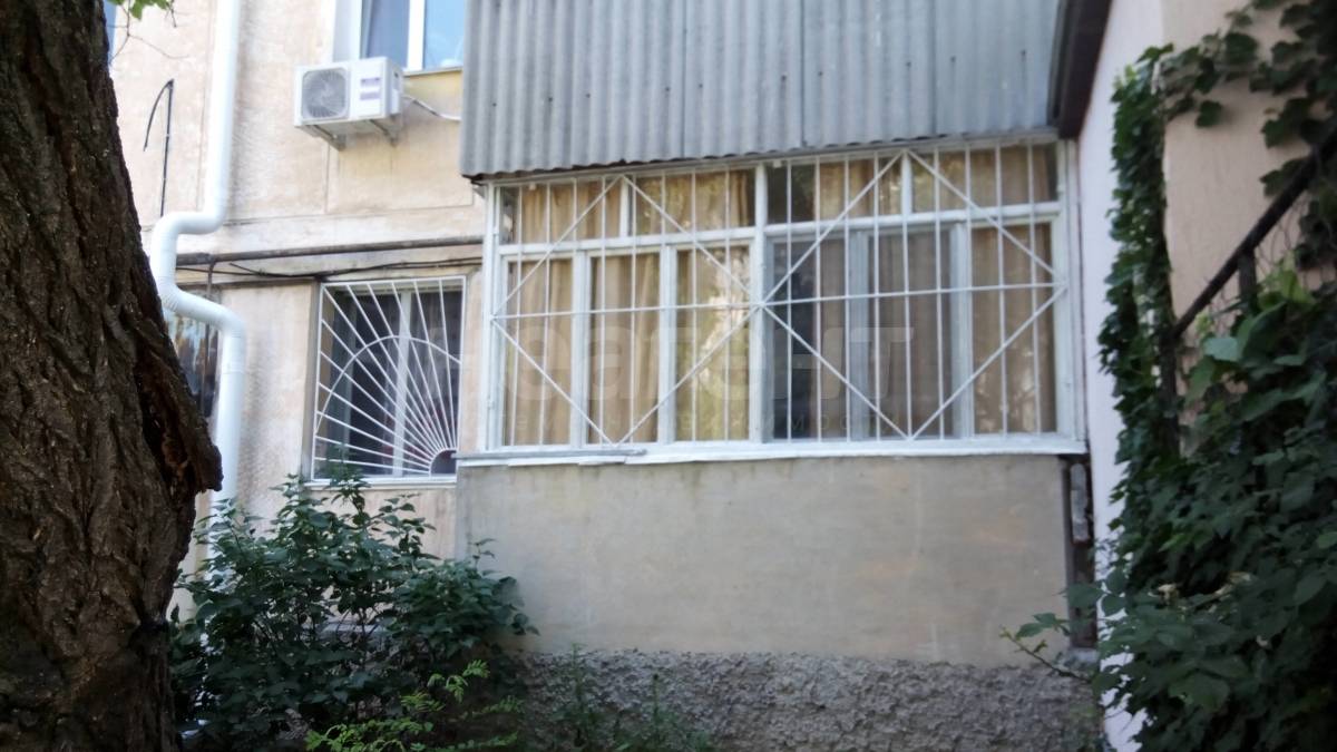 Фотография №4