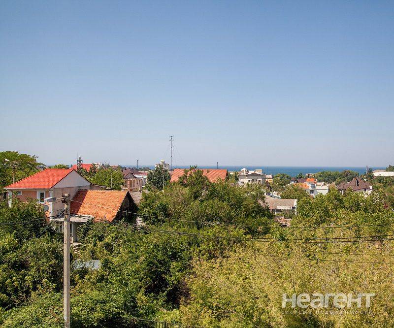 Фотография №4