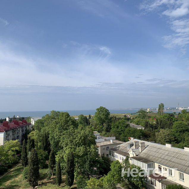 Фотография №5