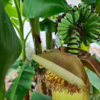 Сдается Дом, 80 м²