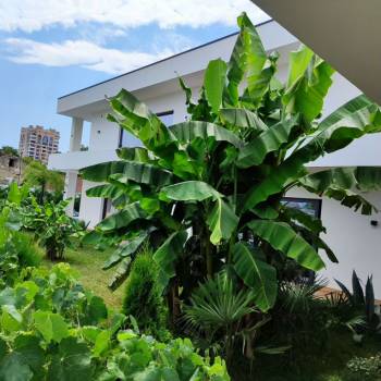 Сдается Дом, 80 м²