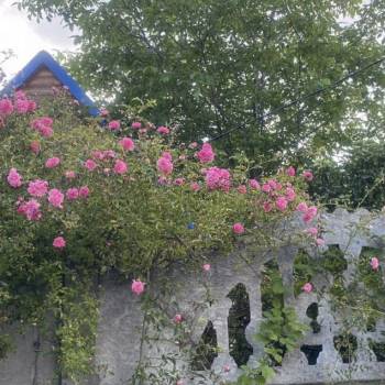 Продается Участок, 400 м²