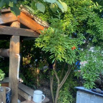 Продается Участок, 400 м²