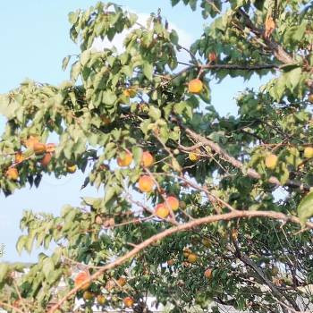 Продается Дом, 148 м²