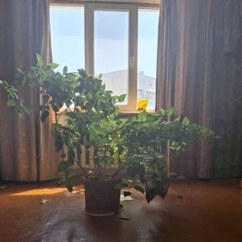 Продается 3-х комнатная квартира, 66,8 м²