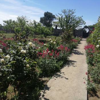 Сдается Дом, 122 м²