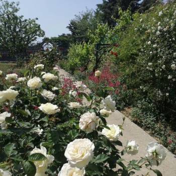 Сдается Дом, 122 м²