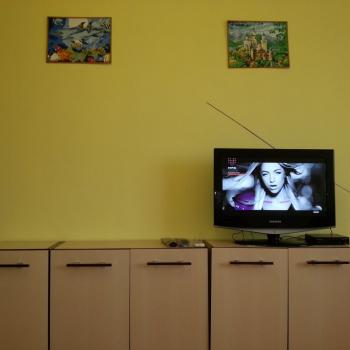 Сдается 1-комнатная квартира, 45 м²