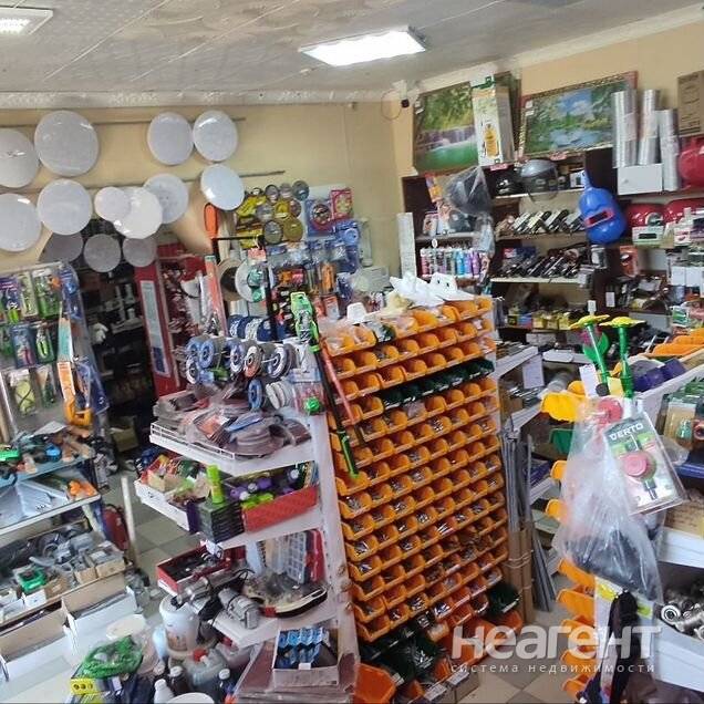 Фотография №4