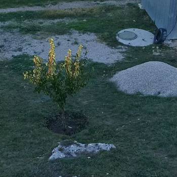 Продается Участок, 400 м²