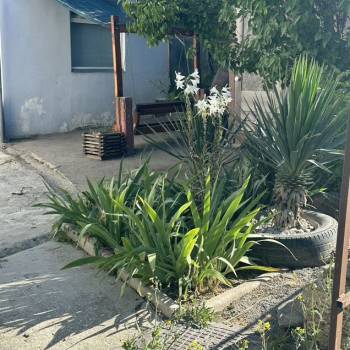 Продается 2-х комнатная квартира, 29,8 м²