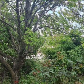 Продается Участок, 450 м²