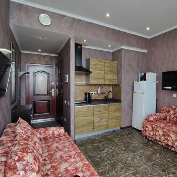 Продается 1-комнатная квартира, 24,1 м²