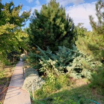 Продается Участок, 600 м²