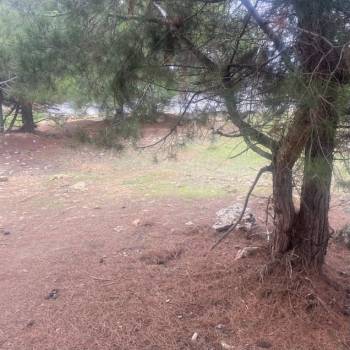 Продается Участок, 1000 м²