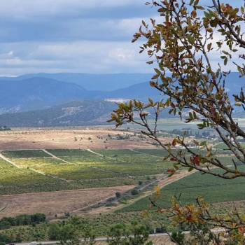 Продается Участок, 730 м²