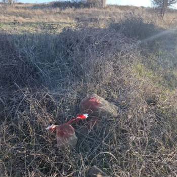 Продается Участок, 410 м²