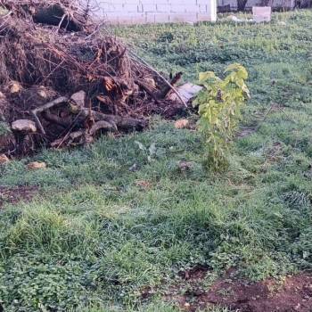 Продается Участок, 800 м²