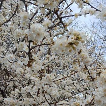 Продается Участок, 780 м²