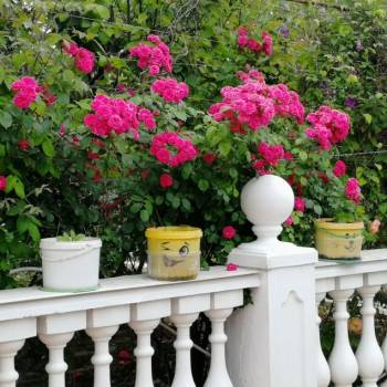 Сдается Комната, 18 м²