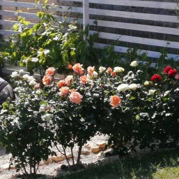 Продается Дом, 50 м²