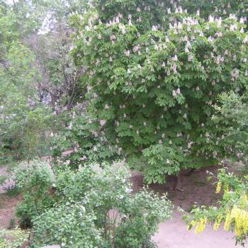 Продается 2-х комнатная квартира, 39,2 м²