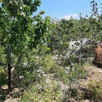 Продается Дом, 20 м²