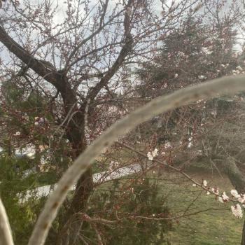 Сдается 2-х комнатная квартира, 52 м²