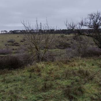 Продается Участок, 650 м²