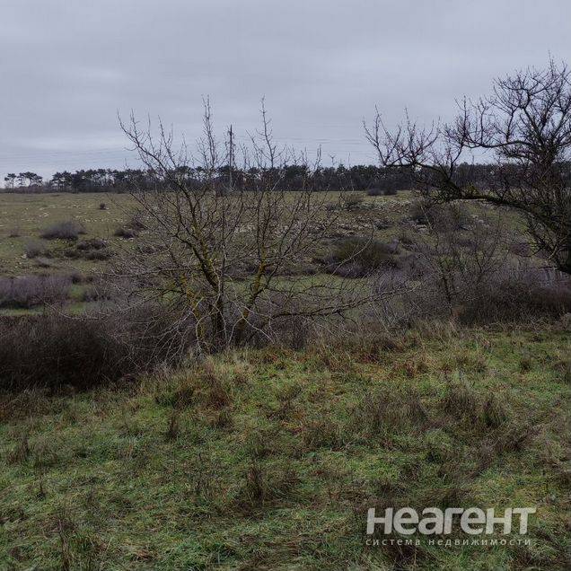 Фотография №2