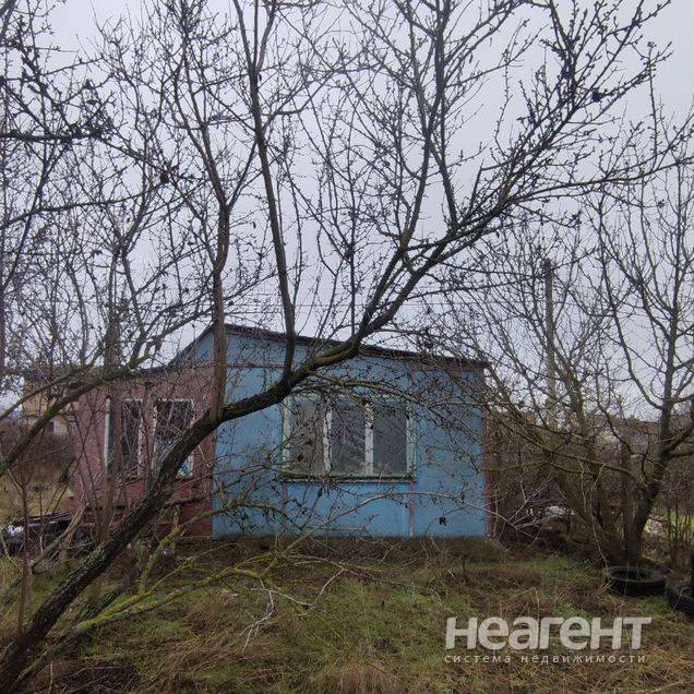 Фотография №3