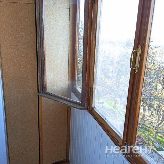 Фотография №3