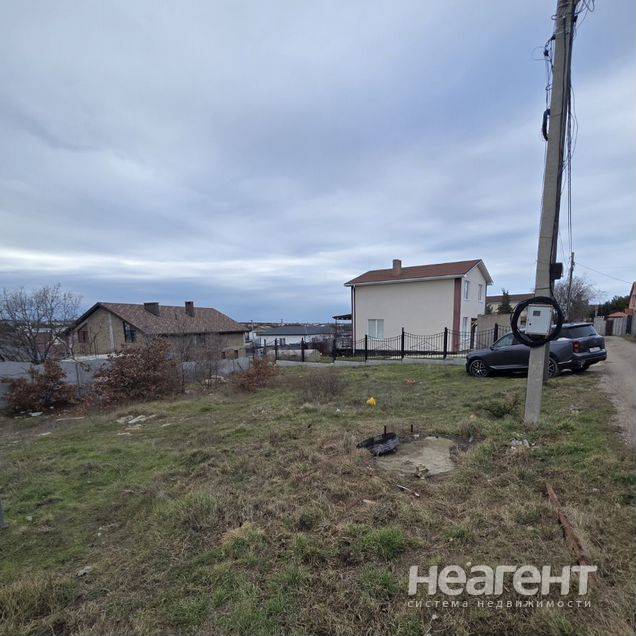 Фотография №3