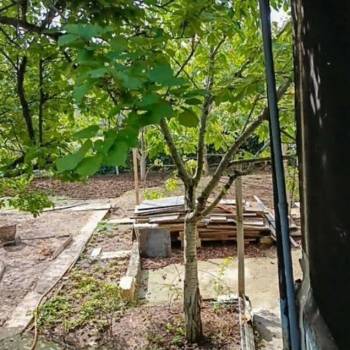 Продается Участок, 420 м²