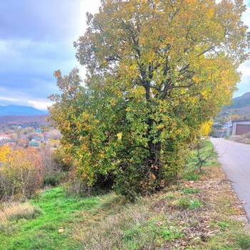 Продается Участок, 810 м²