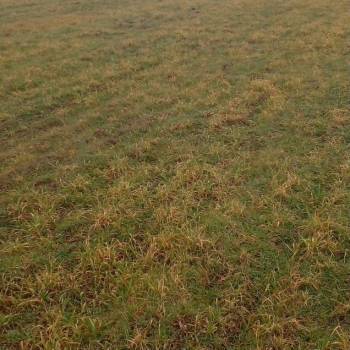 Продается Участок, 600 м²