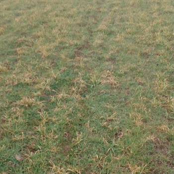 Продается Участок, 600 м²