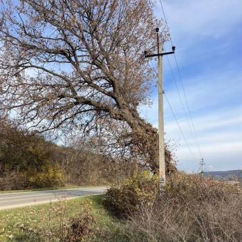 Продается Участок, 7000 м²