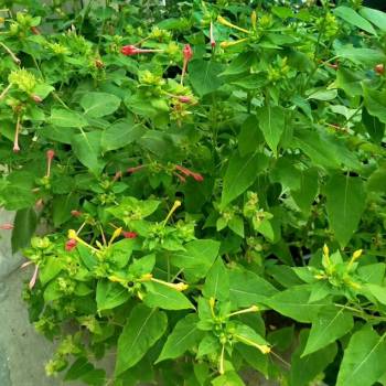 Сдается Комната, 12 м²